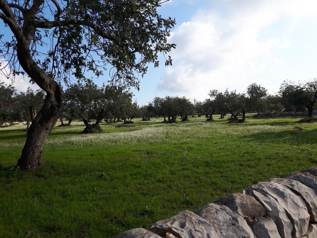 Vila Scicli Citta Felice Exteriér fotografie