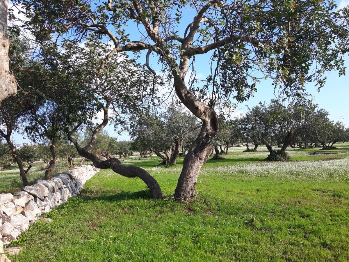 Vila Scicli Citta Felice Exteriér fotografie